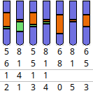 Best A4 pinning chart